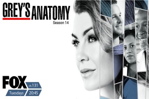فصل چهاردهم سریال گریز آناتومی Grey's Anatomy 